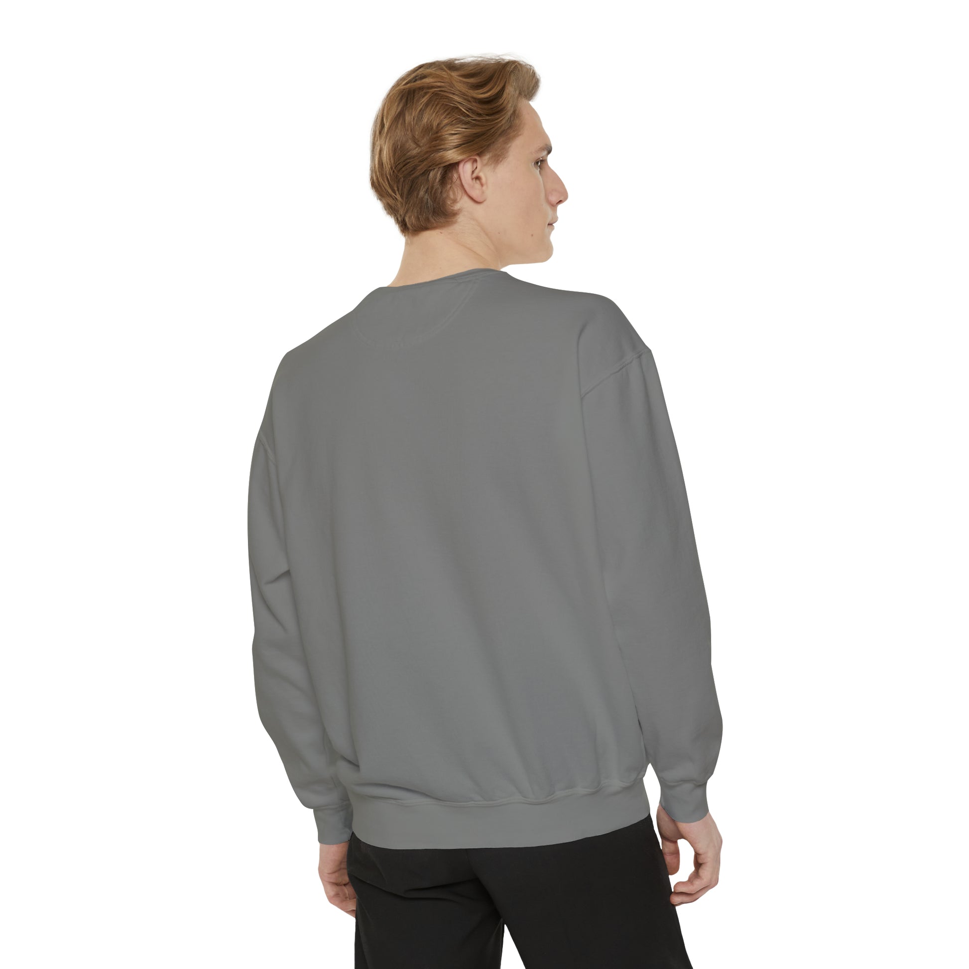 The Way The Truth The Life Sweatshirt Grey Back View