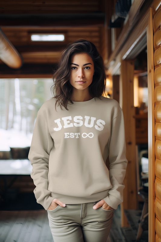 Jesus Sweatshirt Neutral Womens